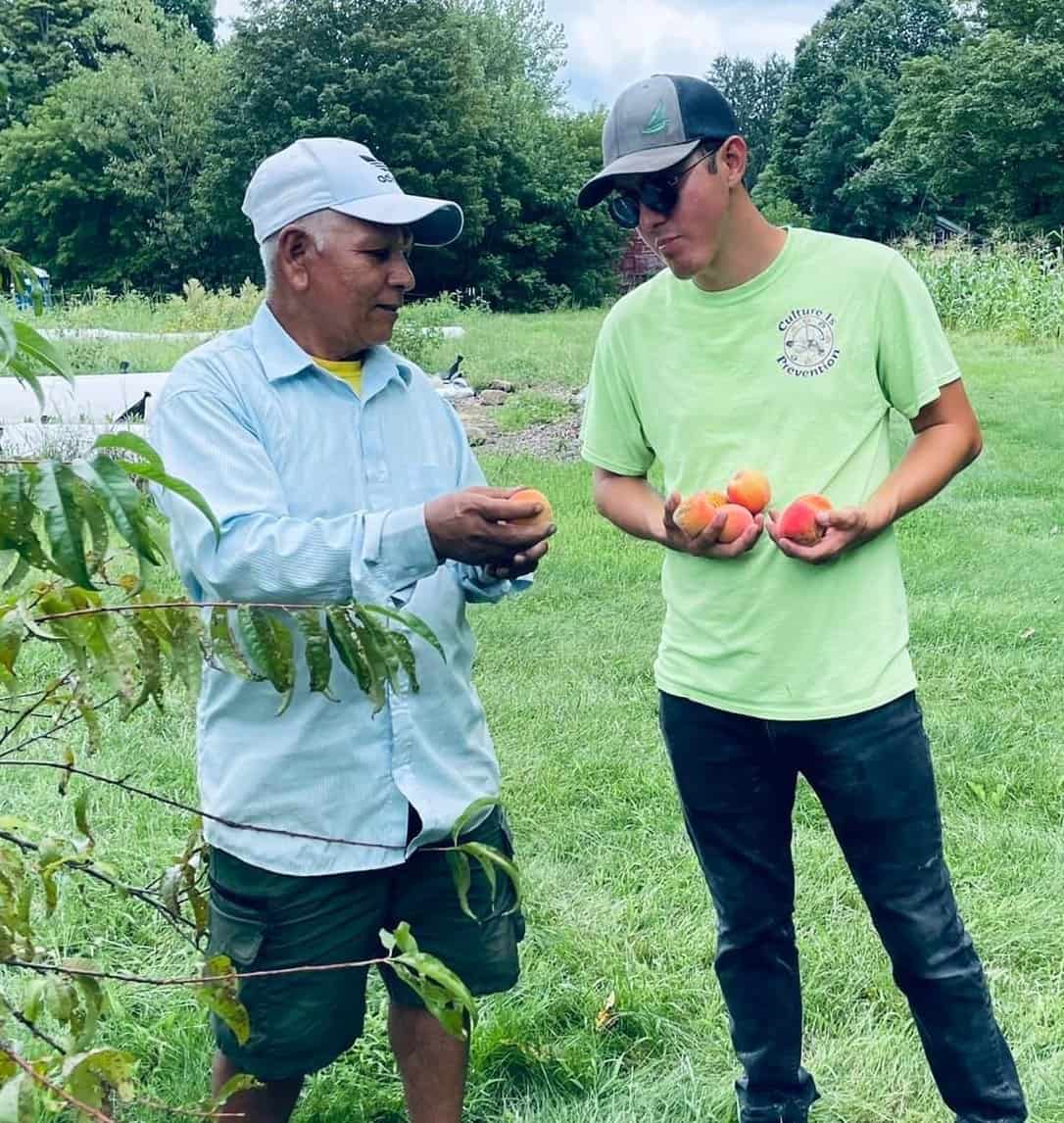Salt City Harvest Farm Executive Director Jacob Gigler-Caro wears a t-shirt and jeans while talking to a farmer in their apple orchard.