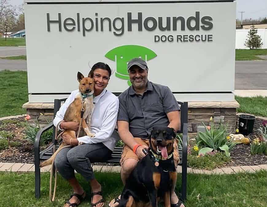 Organization Profile: How Helping Hounds Adopted Packs of Community Supporters