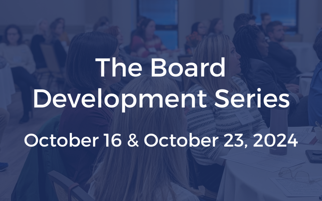 2024 Board Development Workshop Series