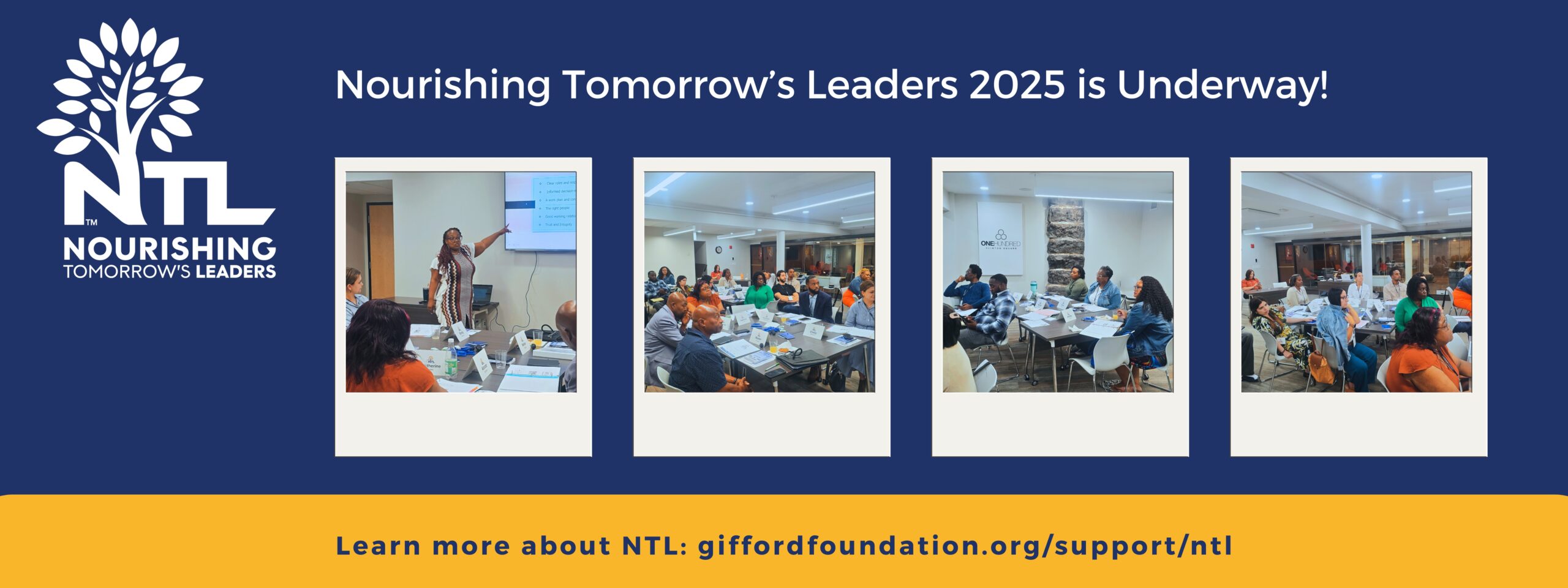 Graphic Banner that says Apply Nourishing Tomorrow's Leaders Application opens July 7, application closes Aug 1