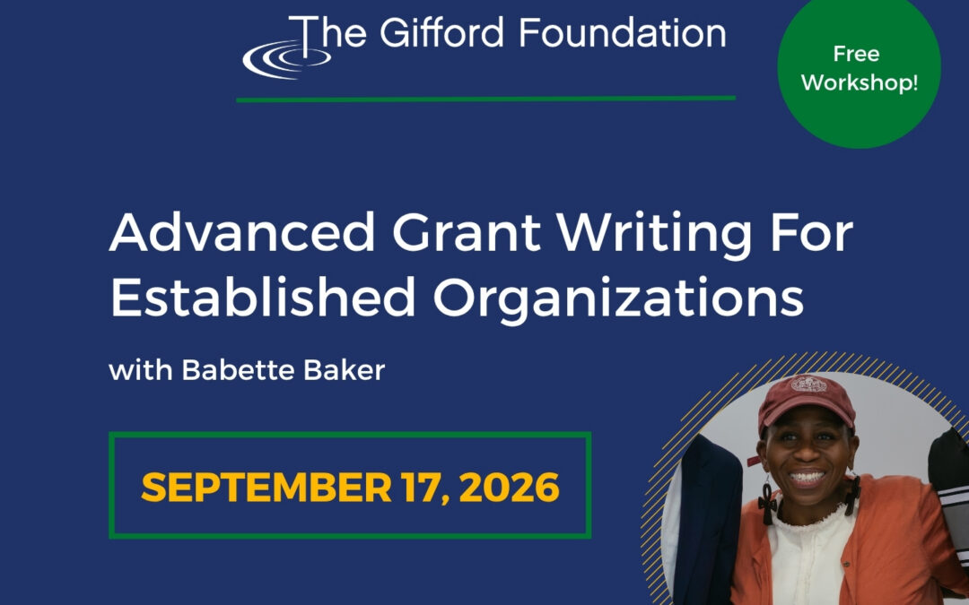 Advanced Grant Writing for Established Oranizations