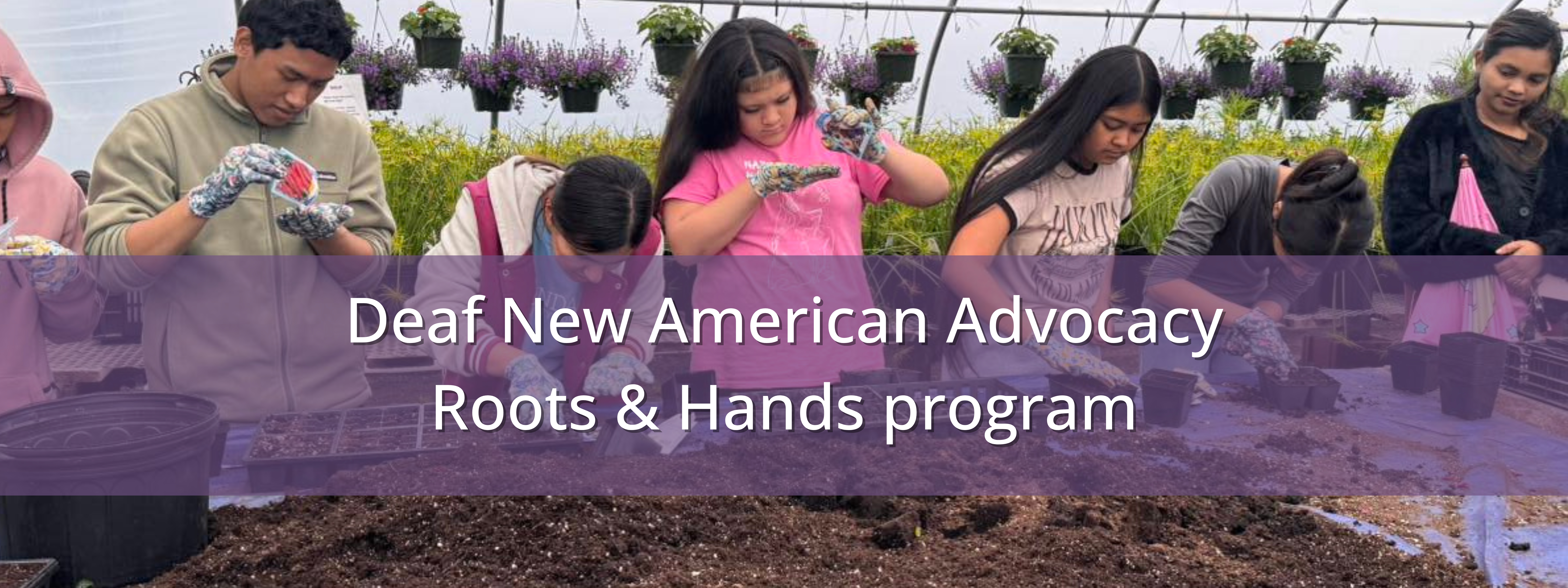 Deaf New American Advocacy Roots & Hands Program