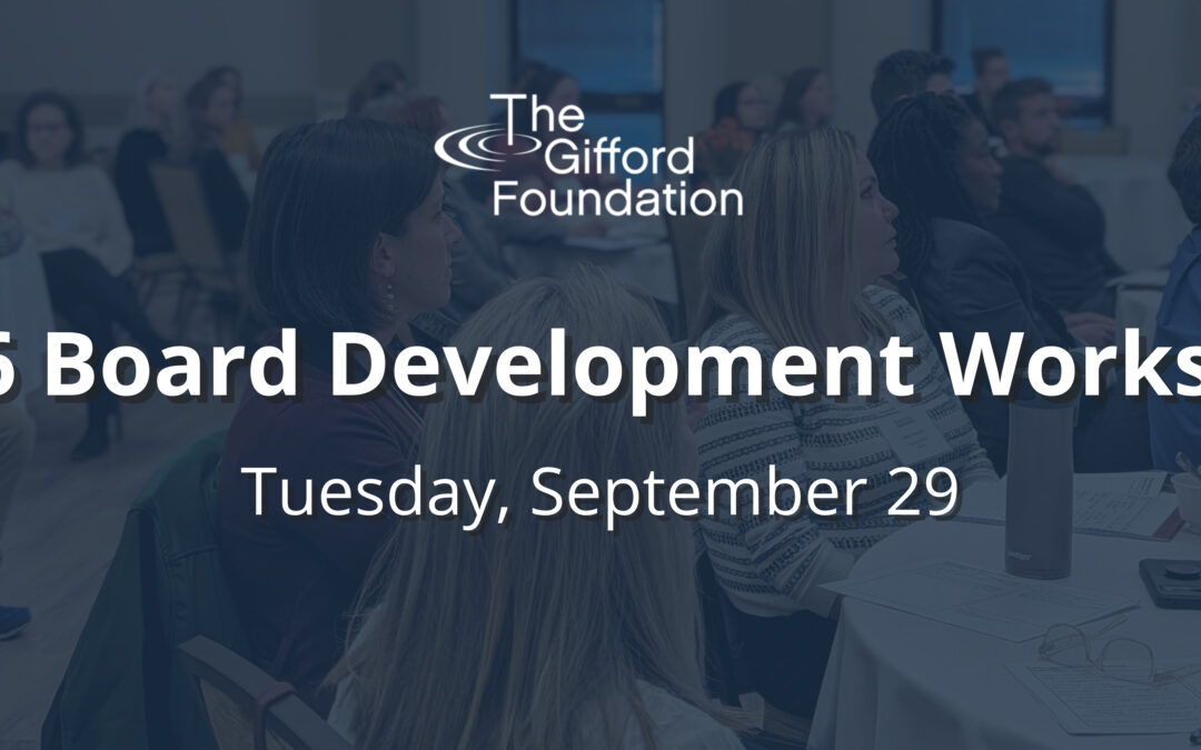 2026 Board Development Workshop